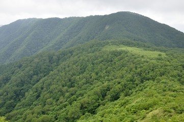 大蔵高丸の草原
