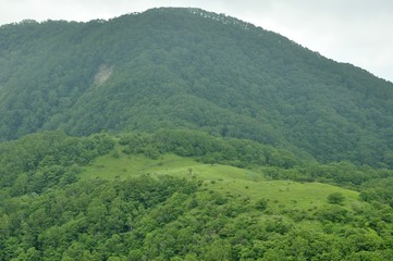 大蔵高丸の草原