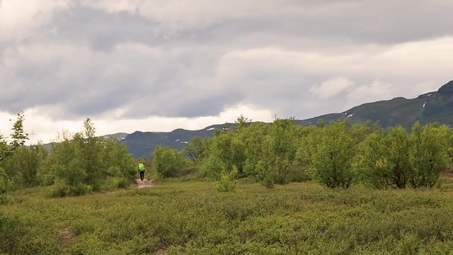 Person walking away on a path in the wilderness towards mountains between trees filmed in northern Sweden