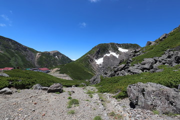 乗鞍岳　畳平の夏景色
