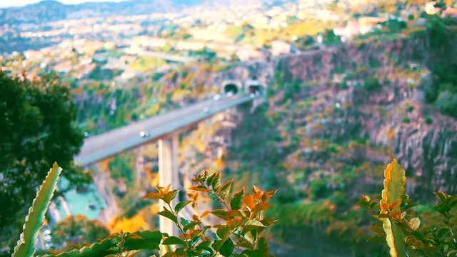 Highway tunnel in background. Location: Madeira Portugal