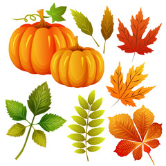 autumn element icon set
