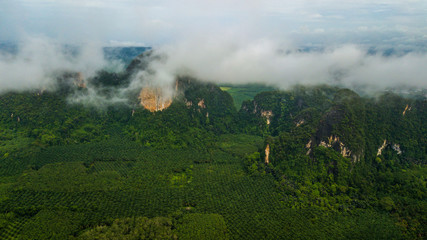 Fototapeta premium landscape of Mountain in Krabi Thailand