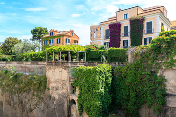 Ivy covered wall in Sorrento, Italy on the Amalfi Coast