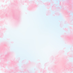 Fototapeta na wymiar Sakura petals falling down. Romantic pink flowers vignette. Flying petals on blue sky square background. 