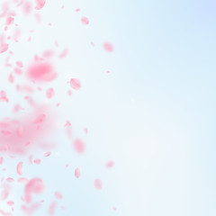 Fototapeta na wymiar Sakura petals falling down. Romantic pink flowers gradient. Flying petals on blue sky square background.