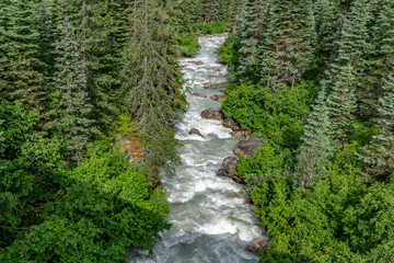 Fototapeta na wymiar flowing river