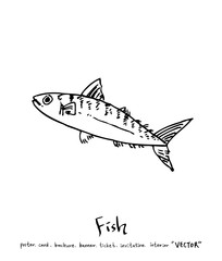 해산물 일러스트 / 손으로 그린 수산물 그림