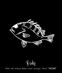 해산물 일러스트 / 손으로 그린 수산물 그림