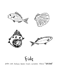 해산물 일러스트 / 손으로 그린 수산물 그림