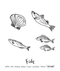 해산물 일러스트 / 손으로 그린 수산물 그림