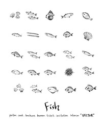 해산물 일러스트 / 손으로 그린 수산물 그림