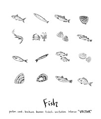 해산물 일러스트 / 손으로 그린 수산물 그림