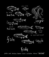 해산물 일러스트 / 손으로 그린 수산물 그림