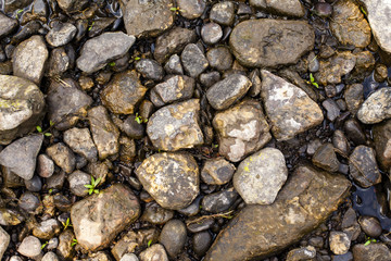 River Rocks and stones
