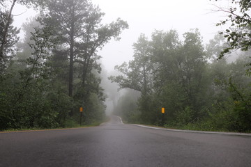 Iron Mountain Road In the Fog - July 2018