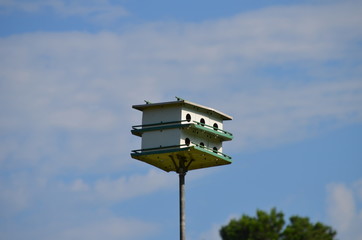 white and green birdhouse