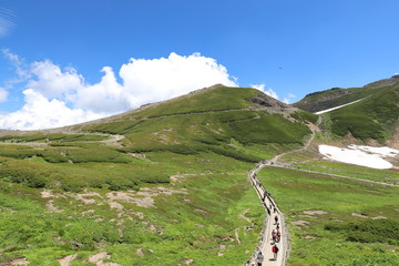 乗鞍岳　畳平の夏景色
