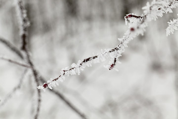 Obraz premium Snow drifts in winter