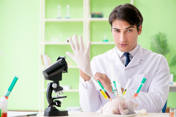 Fototapeta premium Lab assistant testing GMO chicken