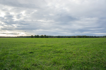 Fototapeta na wymiar Green field in September