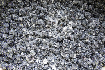 Bilberry berries in sugar.