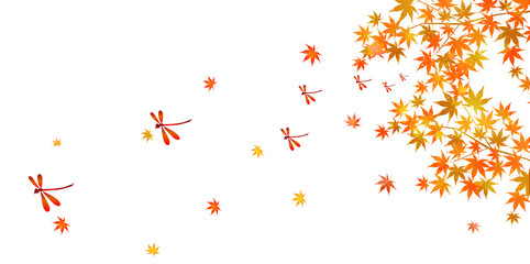  紅葉　葉　秋　背景 © J BOY