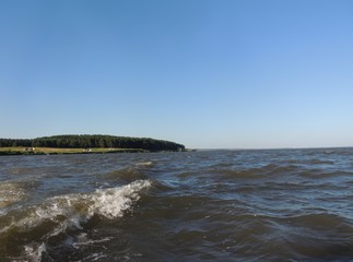 лес возле озера