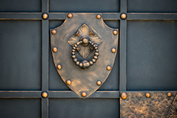 beautiful decorative metal elements forged wrought iron gates