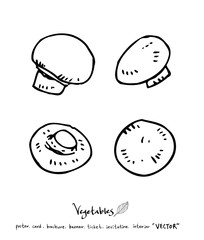 농산물 일러스트 / 손으로 그린 과일과 채소 그림