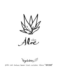 농산물 일러스트 / 손으로 그린 과일과 채소 그림