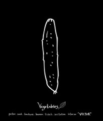 농산물 일러스트 / 손으로 그린 과일과 채소 그림