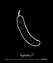 농산물 일러스트 / 손으로 그린 과일과 채소 그림