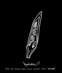 농산물 일러스트 / 손으로 그린 과일과 채소 그림