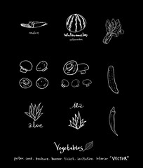 농산물 일러스트 / 손으로 그린 과일과 채소 그림