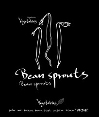 농산물 일러스트 / 손으로 그린 과일과 채소 그림