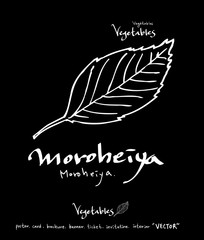 농산물 일러스트 / 손으로 그린 과일과 채소 그림