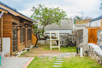 Ancient Japanese style building with garden and tree - 214416549