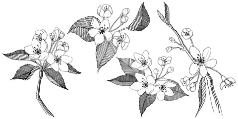Apple tree in a vector style isolated. Full name of the plant: apple tree. Vector flower for background, texture, wrapper pattern, frame or border.