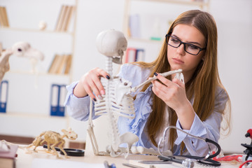 Student sitting in classroom and studying skeleton