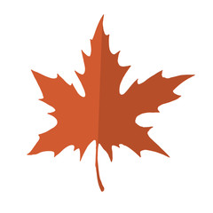 Red and orange maple leaf isolated on a white background. Autumn element for your design.