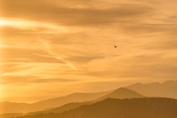 Bird in flight against a background of orange sky and mountains