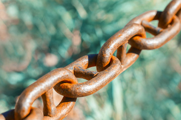 Old metal chain on green background Horizontal