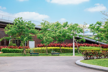 Fototapeta premium Taipei Expo Park (Xinsheng Park) in Taiwan