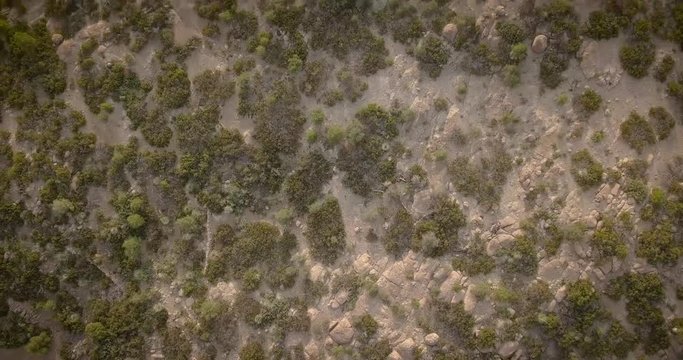 Aerial view of the Sonoran Desert in central Arizona