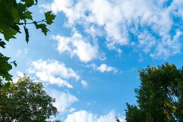 blue sky with fine cloud formation