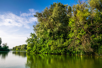 Fototapeta na wymiar Island on the Dnieper River. Trees on the shore