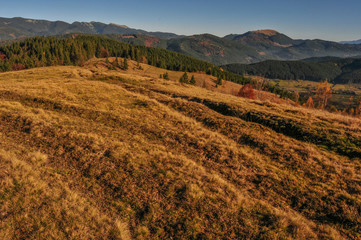 Fototapeta na wymiar Panoramic view of the Carpathian meadow in autumn, Ukraine