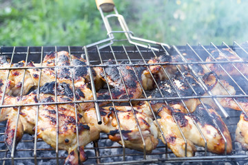 Appetizing chicken wings with barbecue on the open grill in the garden © Yana Kovalenko