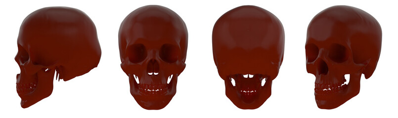 3d rendering illustration of skull